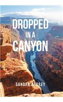 Dropped in a Canyon