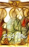 Salt Lite