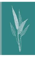 Journal: 6 X 9, 120 Page Teal Green Botanical Art Dot Grid Notebook for Journaling, Planning, and Organizing