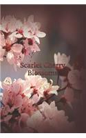 Scarlet Cherry Blossoms