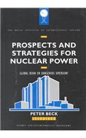 Prospects and Strategies for Nuclear Power