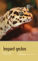 Leopard Gecko - Pet Expert