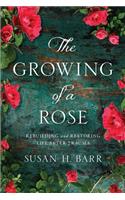The Growing of A Rose
