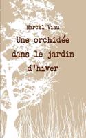 orchidée dans le jardin d'hiver
