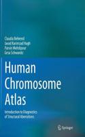 Human Chromosome Atlas