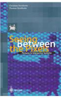 Seeing between the Pixels