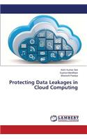 Protecting Data Leakages in Cloud Computing
