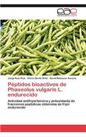 Peptidos Bioactivos de Phaseolus Vulgaris L. Endurecido