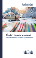 Metafory i muszle w anatomii