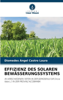 Effizienz Des Solaren Bewässerungssystems