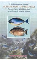 A FIELD GUIDE TO THE FISHES OF ACANTHURIDAE and SIGANIDAE (SURGEONFISHES & RABBITFISHES) OF ANDAMAN & NICOBAR ISLANDS