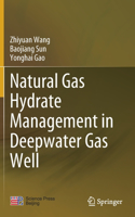Natural Gas Hydrate Management in Deepwater Gas Well