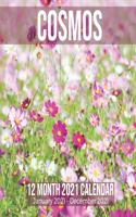 Cosmos 12 Month 2021 Calendar January 2021-December 2021