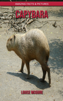 Capybara