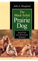 The Black-Tailed Prairie Dog