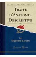 Traitï¿½ D'Anatomie Descriptive, Vol. 1 (Classic Reprint)