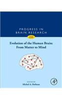 Evolution of the Human Brain: From Matter to Mind