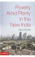 Poverty Amid Plenty in the New India