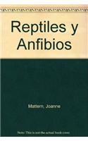Reptiles y Anfibios