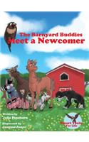 Barnyard Buddies Meet a Newcomer