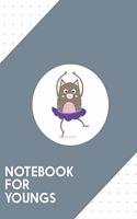 Notebook for Youngs