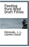 Feeding Pure-Bred Draft Fillies