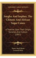 Sorgho and Imphee, the Chinese and African Sugar Canes