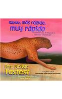 Rápido, Más Rápido, Muy Rápido/Fast, Faster, Fastest