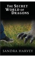 The Secret World of Dragons