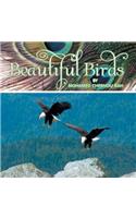 Beautiful Birds
