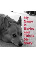 My Name Is Harley and This Is My Story