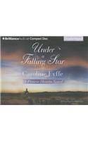 Under a Falling Star