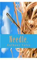 Needle.