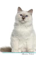 Birman Cat Affirmations Workbook Birman Cat Presents: Positive and Loving Affirmations Workbook. Includes: Mentoring Questions, Guidance, Supporting You.