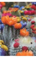 Desert Garden with Succulents Journal