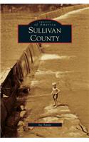 Sullivan County