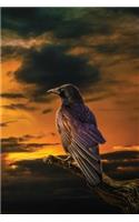 The Raven at Dawn Notebook