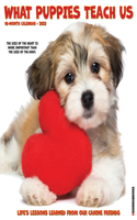 What Puppies Teach Us 2023 Wall Calendar