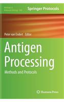 Antigen Processing