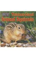 Thirteen-Lined Ground Squirrels