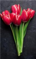 Floral Notebook Red Tulip