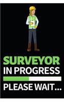 Surveyor In Progress Please Wait