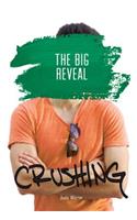 Big Reveal
