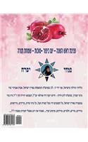 New Year - Yom Kippur Sukot - Simchat Torah