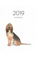 2019 Bloodhound: Dated Weekly Planner with to Do Notes & Dog Quotes - Bloodhound