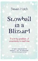 Snowball in a Blizzard