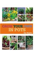 Grow Your Own in Pots: With 30 Step-By-Step Projects Using Vegetables, Fruits, and Herbs