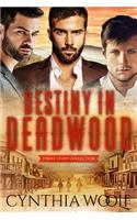 Destiny in Deadwood - Three Story Collection
