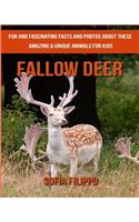 Fallow Deer