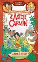 Les voyages extraordinaires d'Aster Carmin